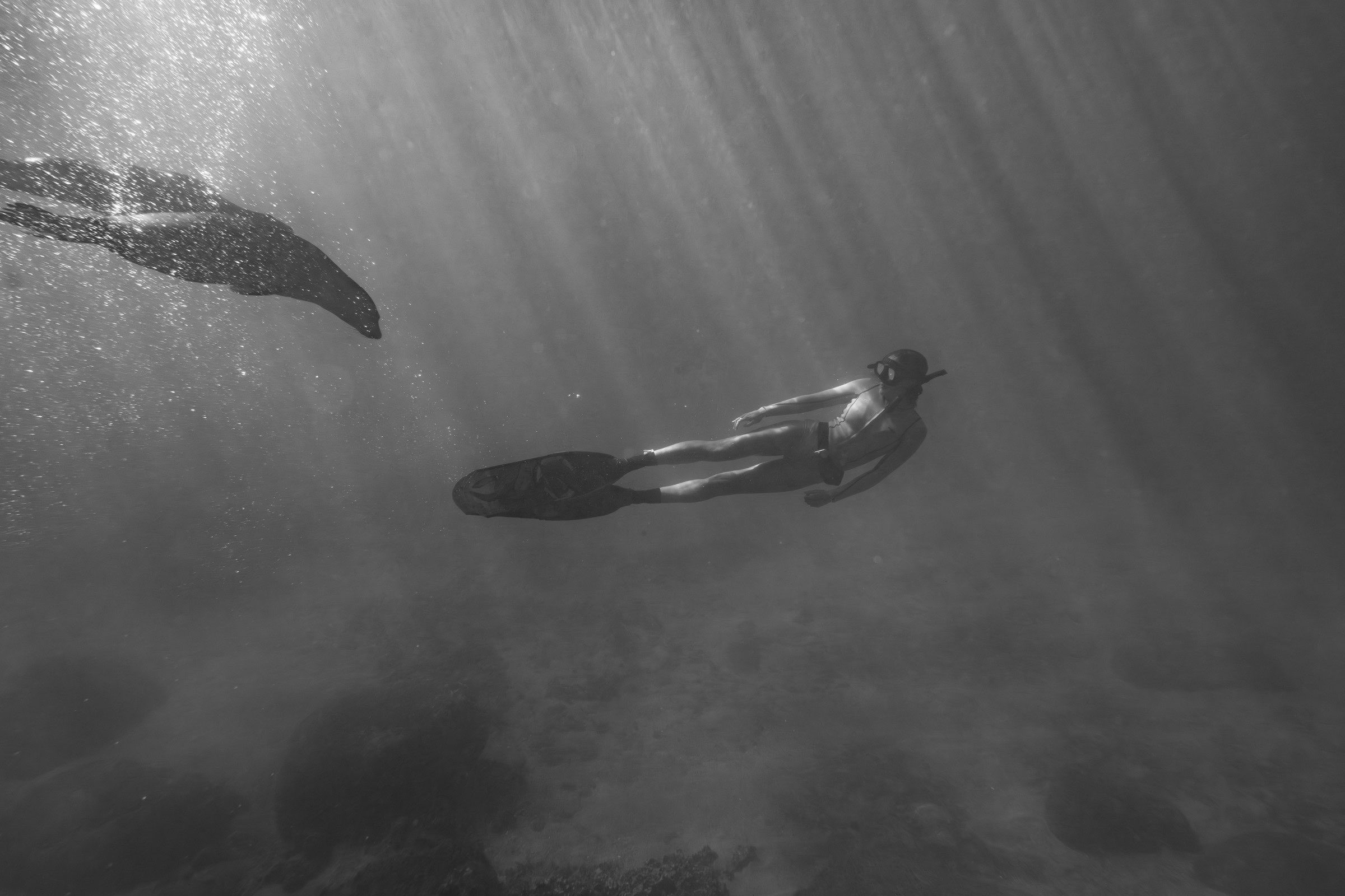 Underwater